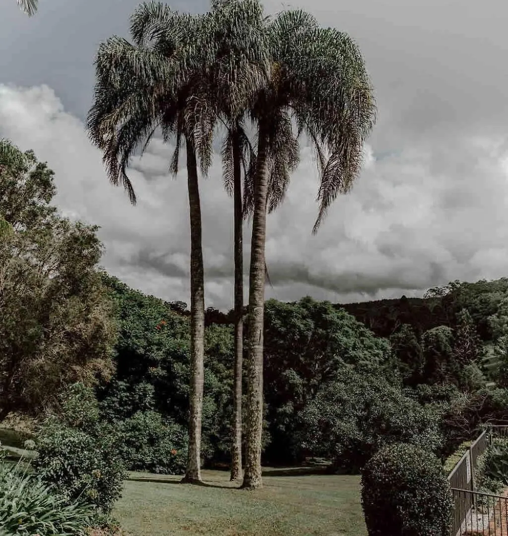 Luxe Hinterland Stay, Eastnor At Montville Estate 別荘